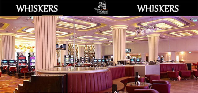 шоу бар казино кристалл